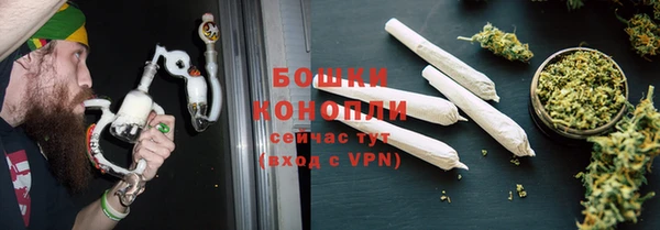PSILOCYBIN Армянск