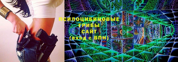 трава Арсеньев