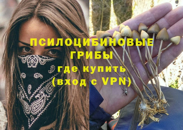 PSILOCYBIN Армянск