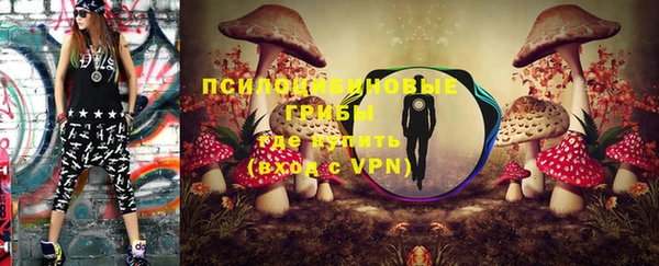 PSILOCYBIN Армянск