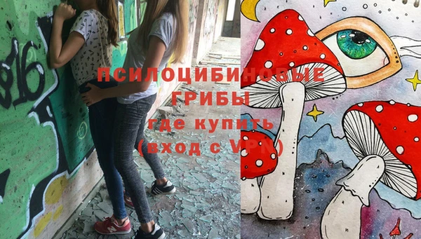 амф Аркадак