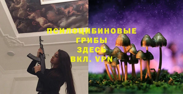амф Аркадак
