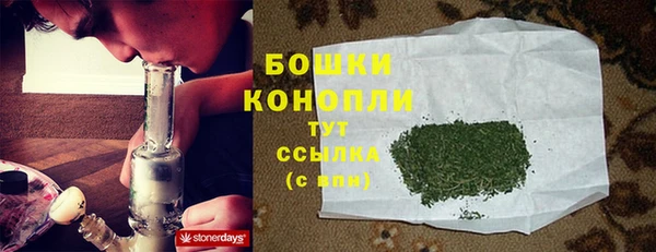 PSILOCYBIN Армянск