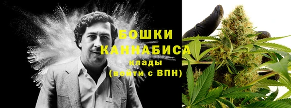 трава Арсеньев