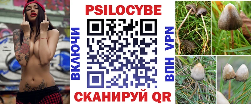 Псилоцибиновые грибы Cubensis  ОМГ ОМГ ССЫЛКА  Вилюйск  купить наркотик 